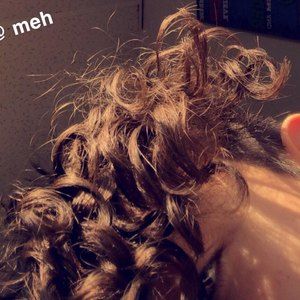 Meet your Posher, Shawnie